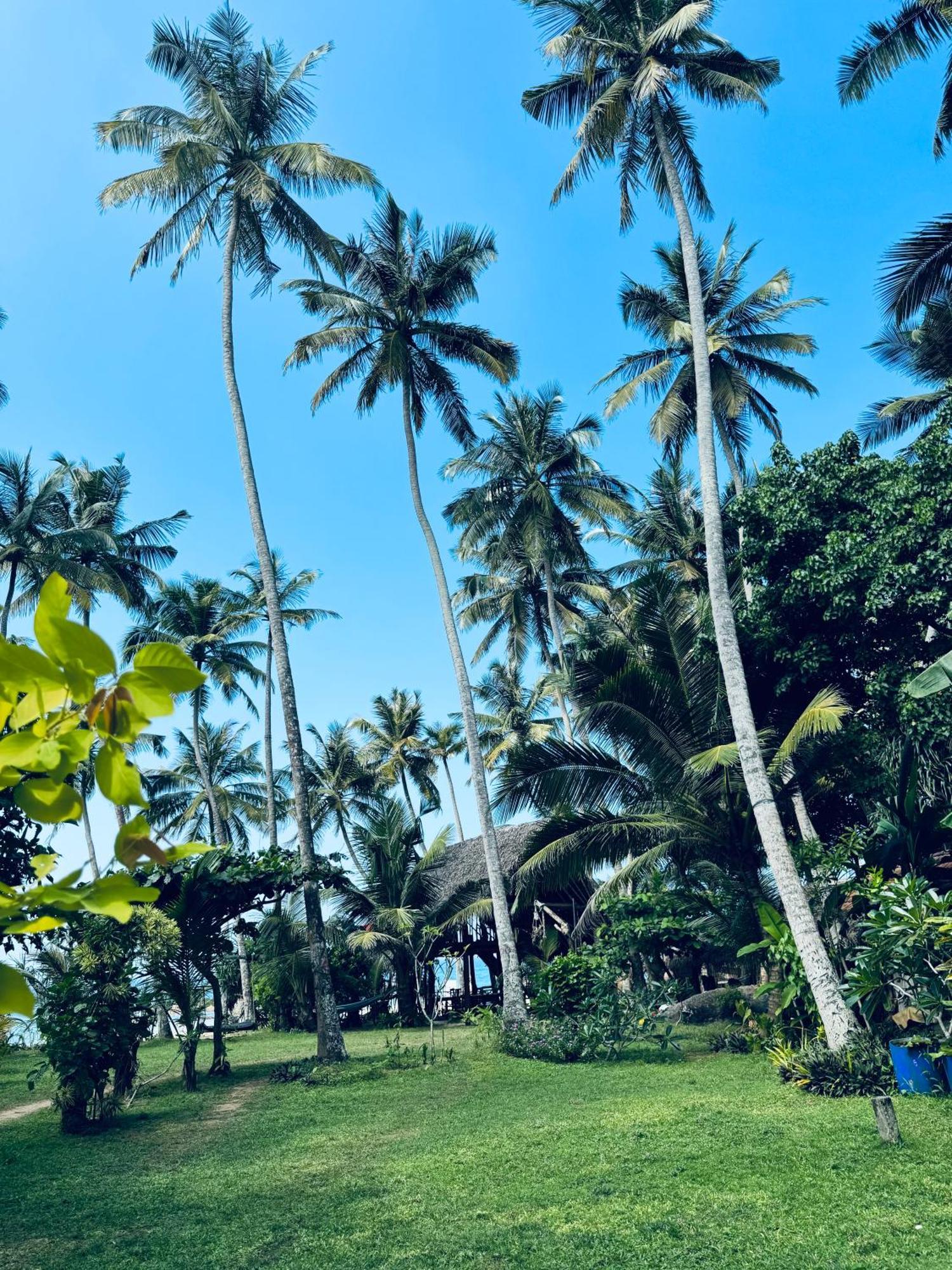 Villa La Kurumba 安伯朗戈德 外观 照片
